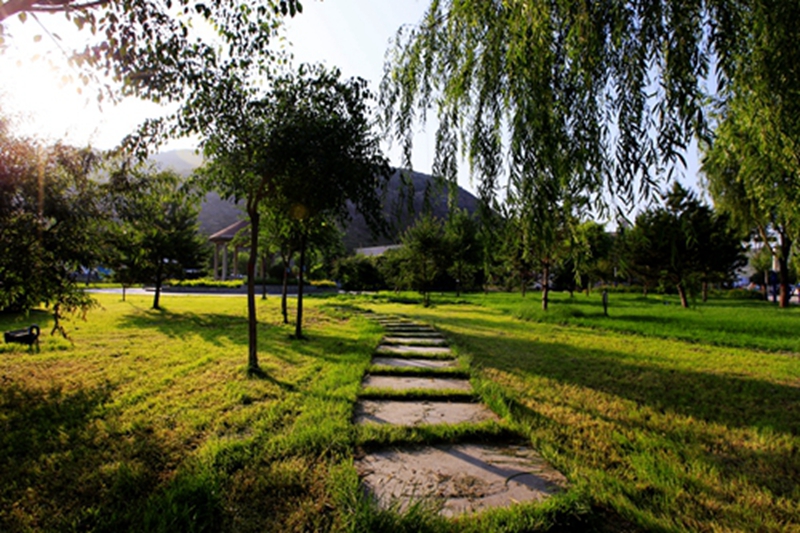 绿色矿山.jpg