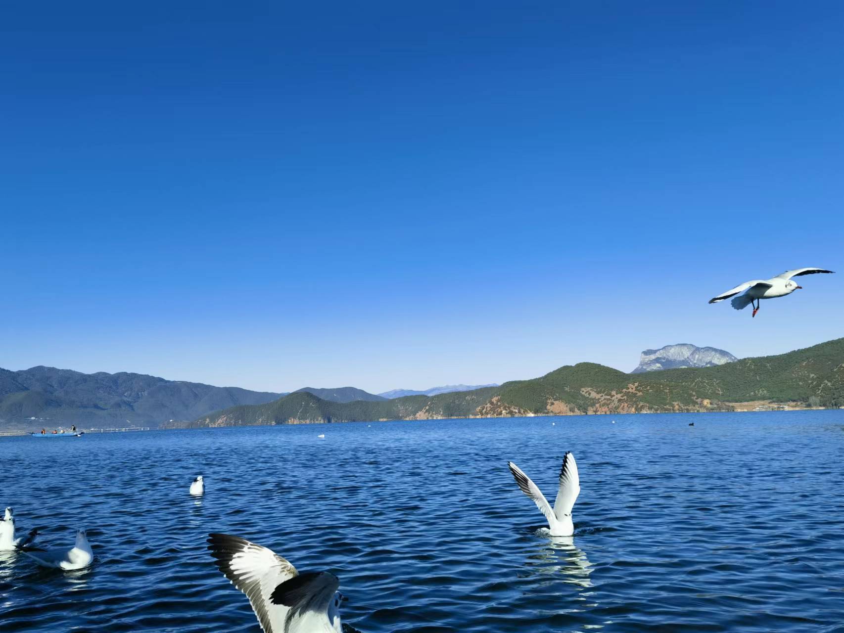 泸沽湖.jpg