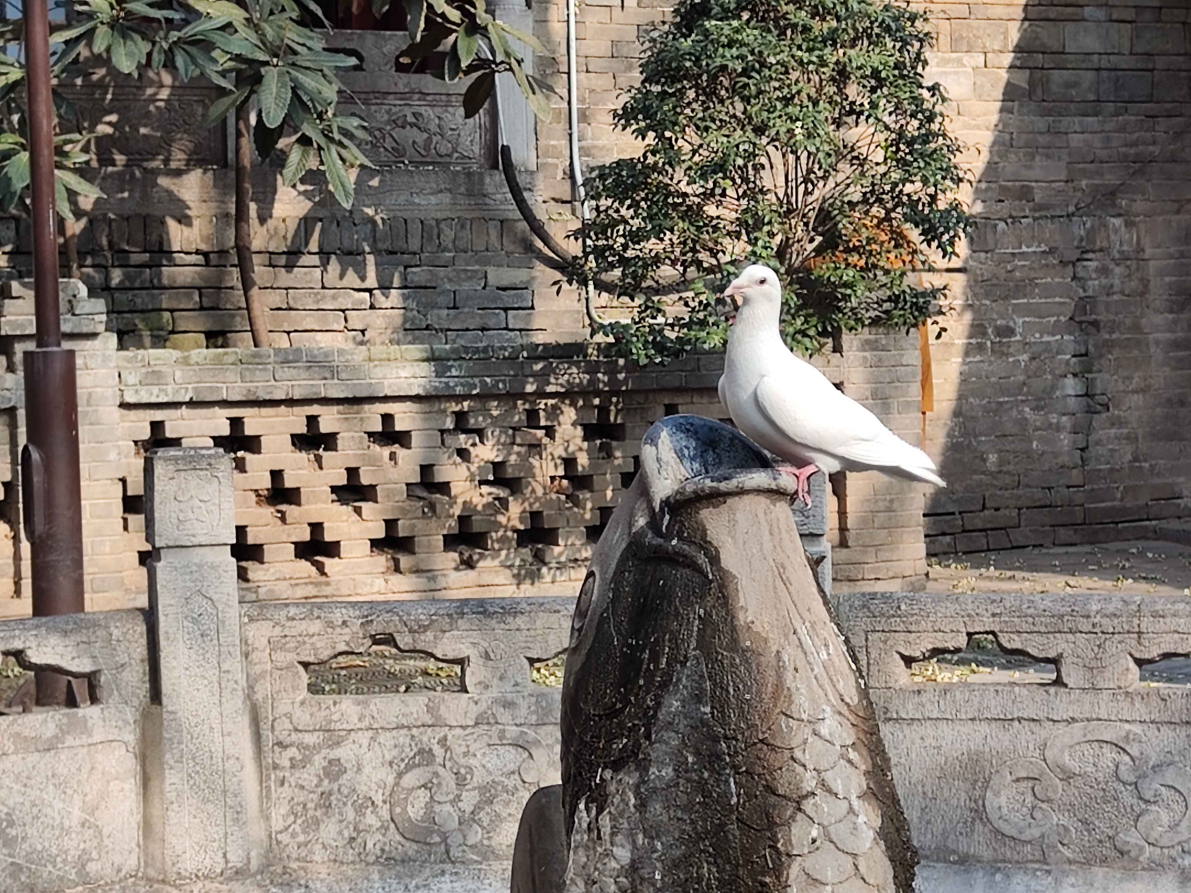 兴善寺.jpg