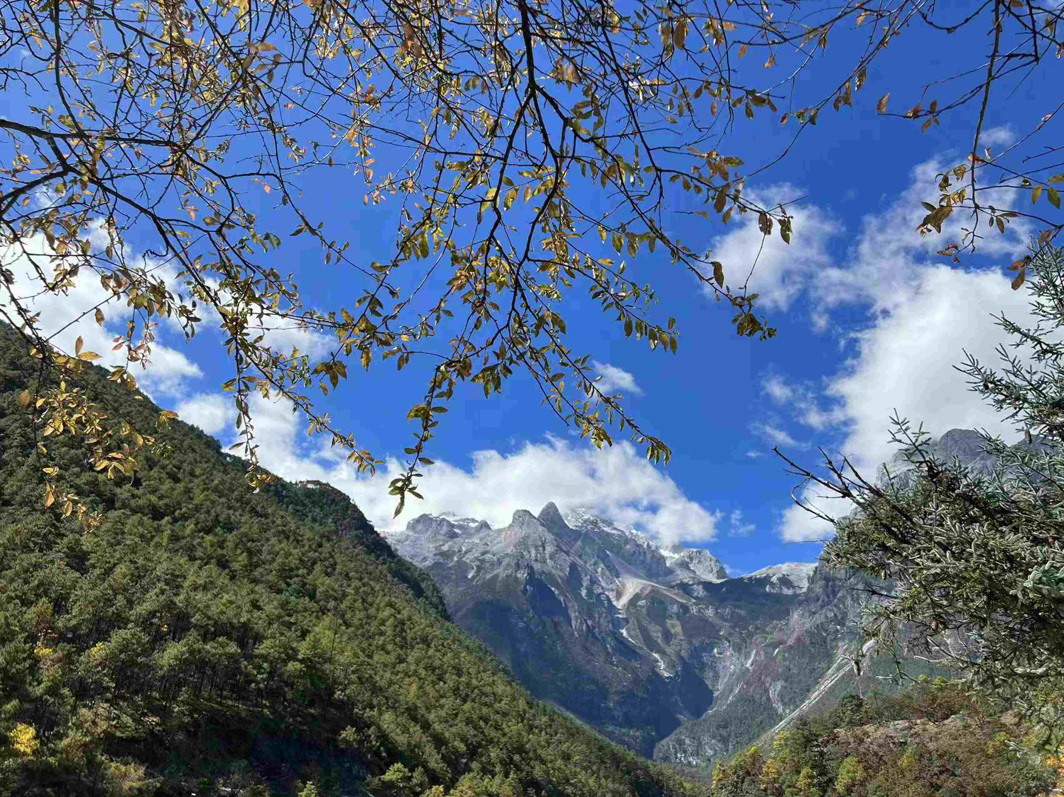 摄影投稿——玉龙雪山2_new_new.jpg