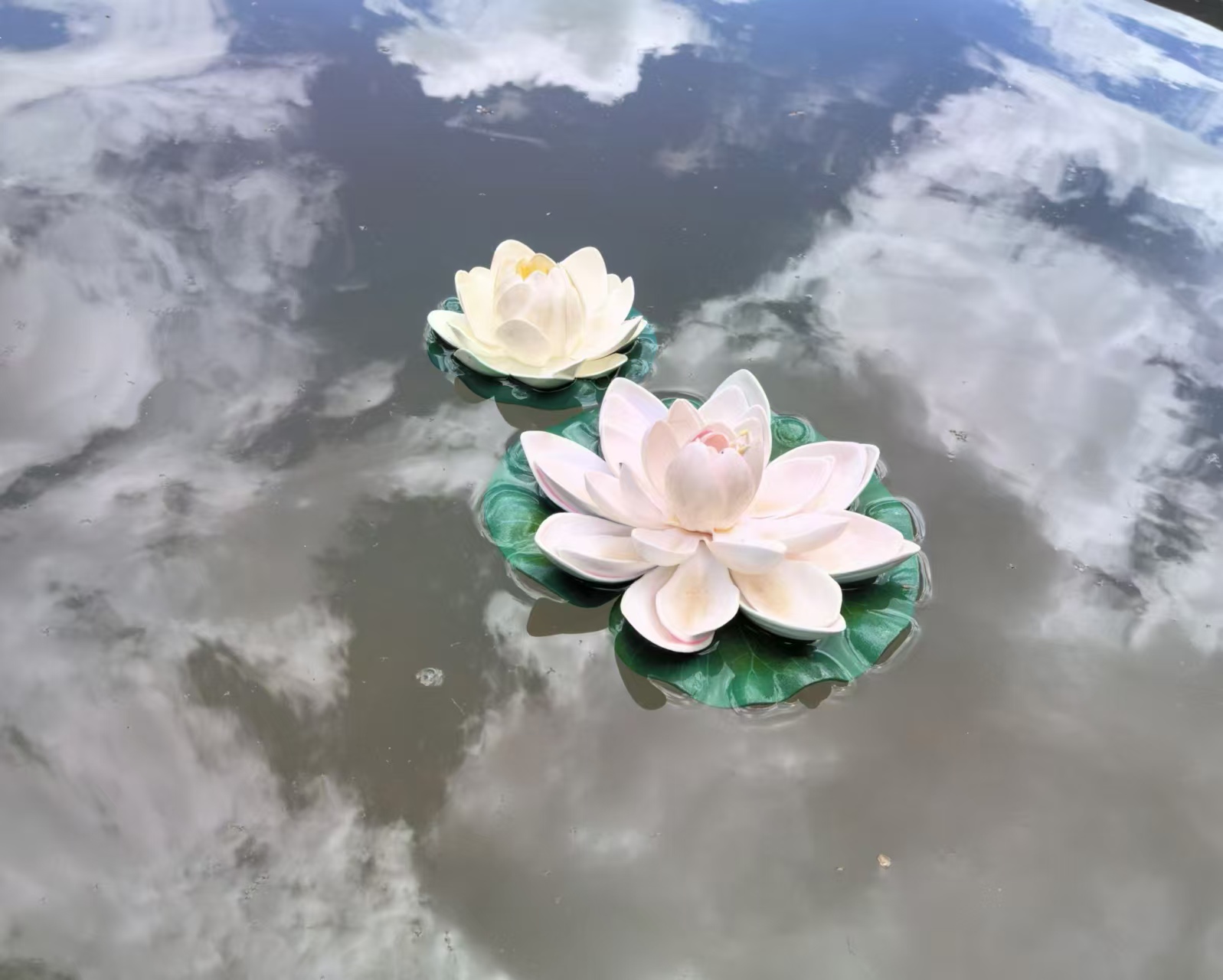 云衬清莲.jpg