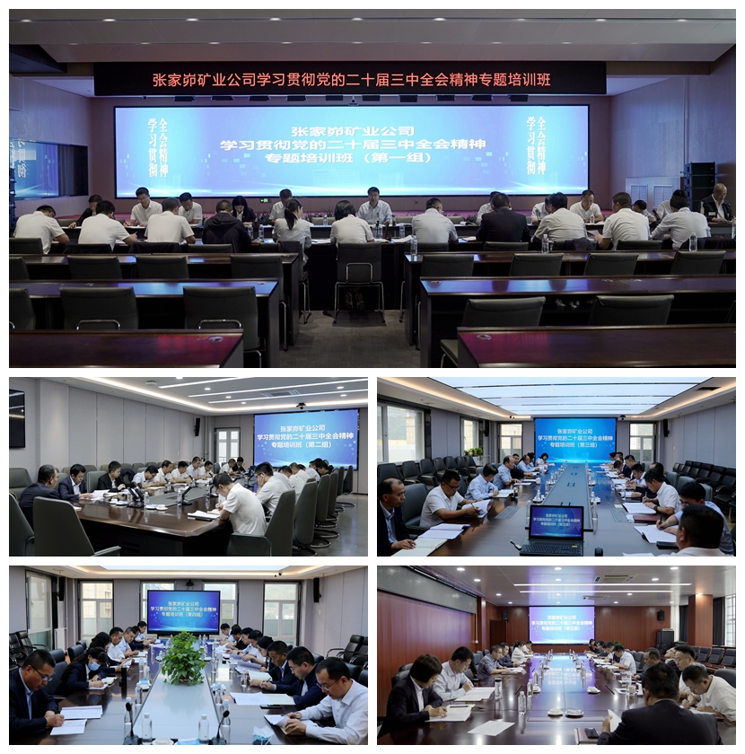 分组学习讨论.jpg