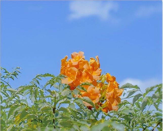 975c6aa9285c6d633347a6f2441d7ec7.jpg