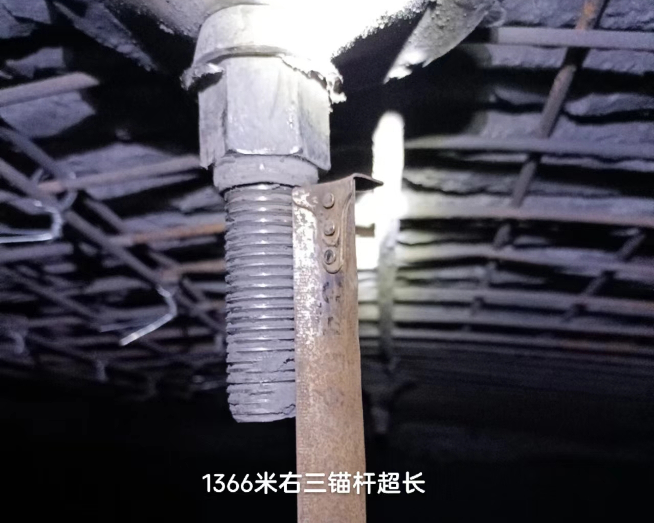 765A3A423E6586073149D00FB7EB3B0E.jpg