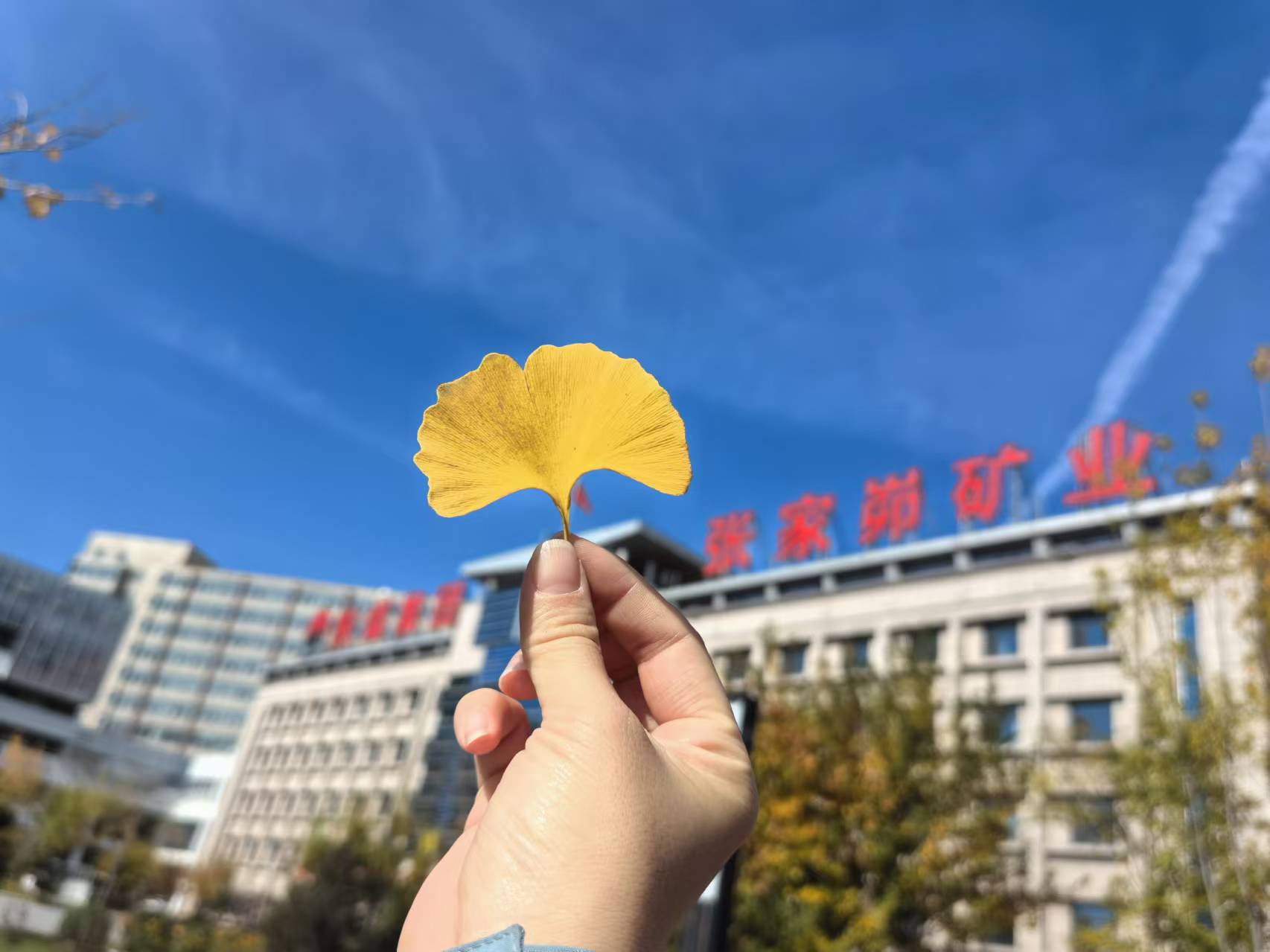 微信图片_20241028145920.jpg
