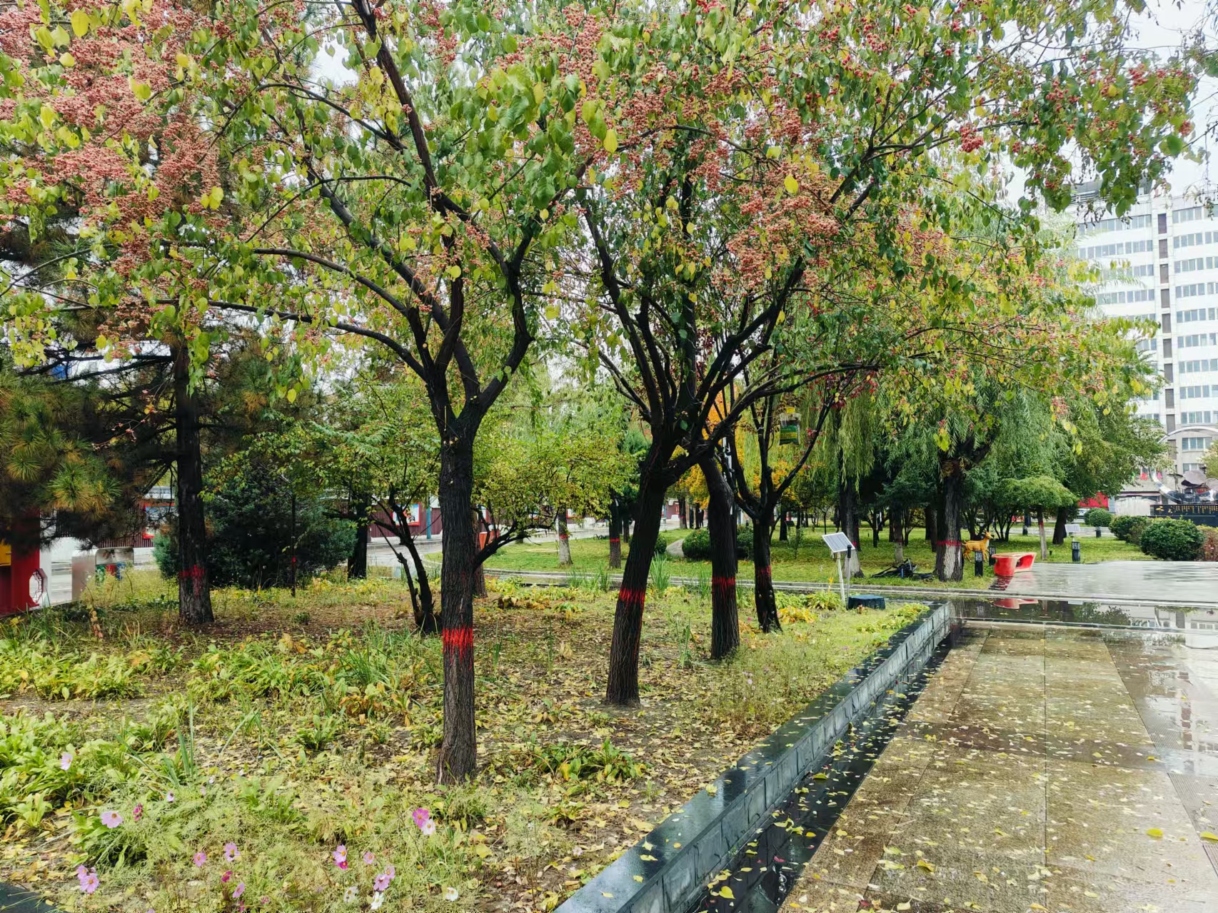 微信图片_20241028145935.jpg