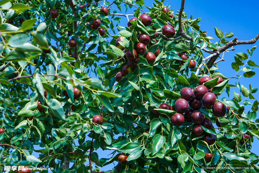 111760168706252614.jpeg 29004051_083517632106_2.jpg