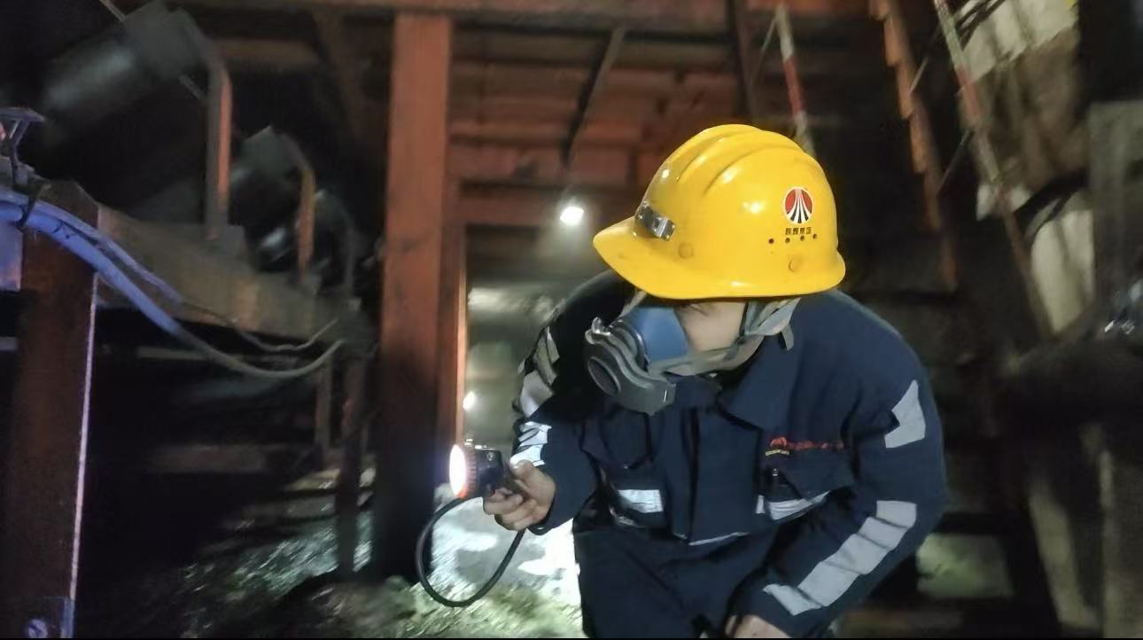 141773462288995267.jpeg 141773462288995267.jpeg