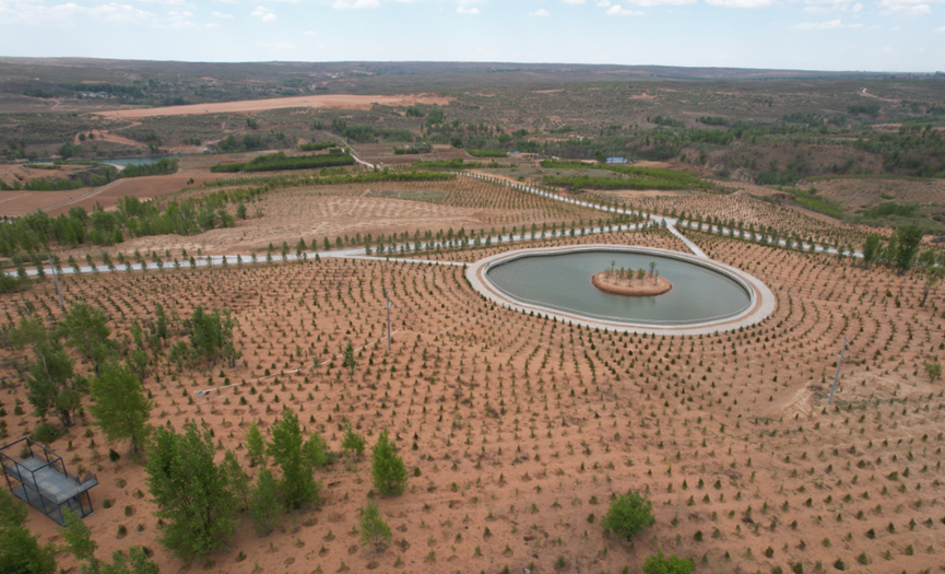 161773623968547716.png image.png